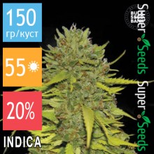 AK - 47 Feminised