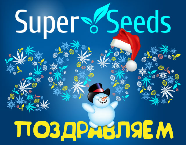 Компания СуперСидс поздравляет с Новым Годом